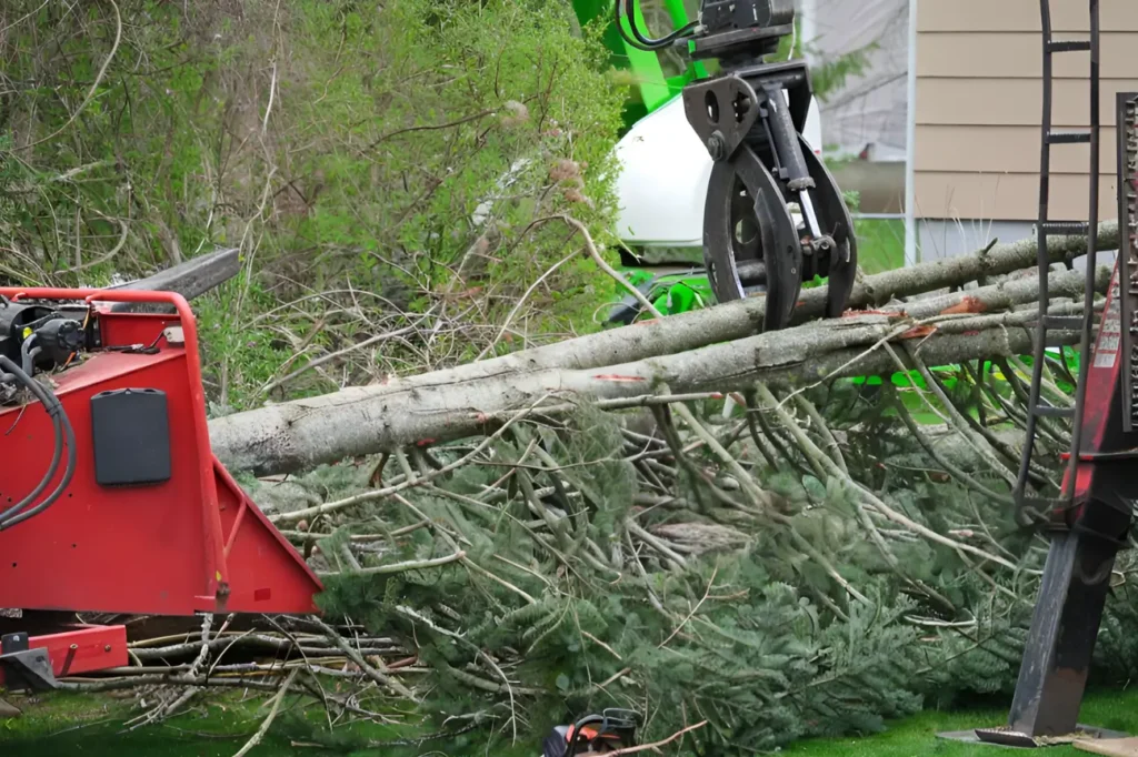 At Emergency Tree Services Auckland we show why many trust us as the best emergency tree company in the region.