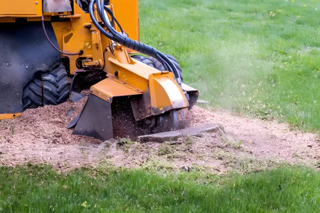 At Stump Grinding Auckland our specialists are known as a leading choice for the best stump grinding company in Auckland.