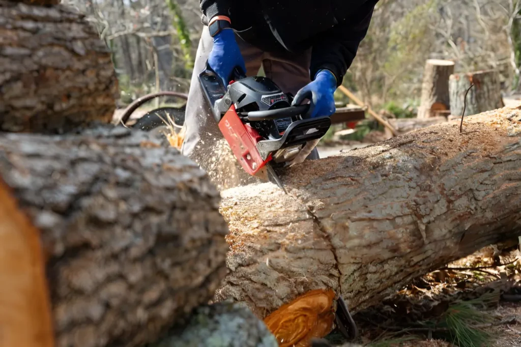 At Tree Felling Auckland our experts offer reliable tree felling support Auckland homeowners trust.