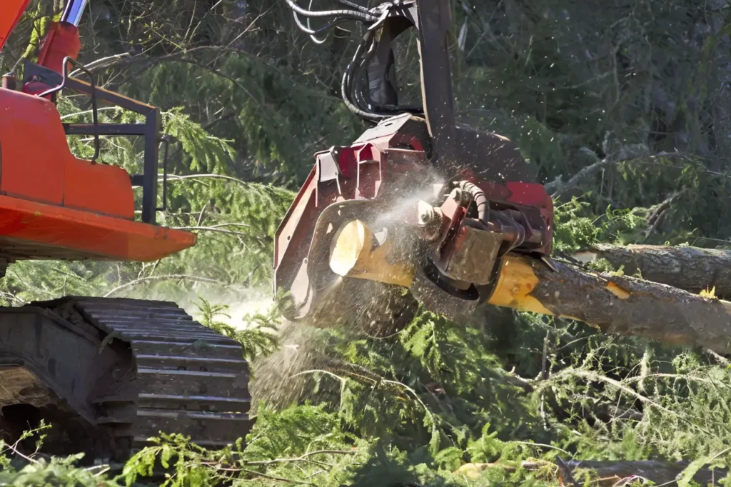 At Tree Removal Auckland we show why many consider us the best tree removal company in the region.
