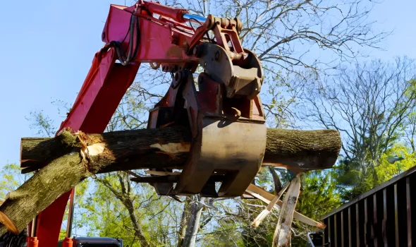 At Emergency Tree Services Auckland we provide fast help when you need it most.