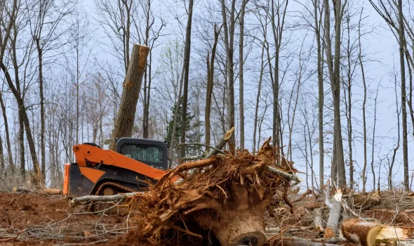 At Land Clearing Auckland we support developers and large sites with expert clearing solutions.