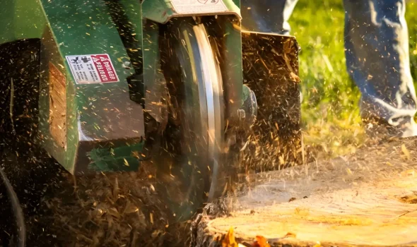 Stump Grinding Auckland Expert Help For Replanting And New Projects At Stump Grinding Auckland we support replanting and new projects with expert stump removal help.