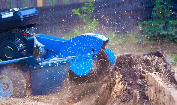 Stump Grinding Auckland Fast And Safe Stump Removal At Stump Grinding Auckland we provide fast and safe stump removal for every property.